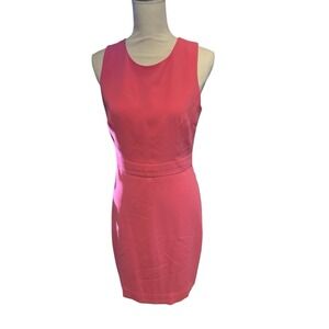 J Crew Women's Dress Size 6 Pink Sheath Work Sleeveless Lined Career professiona